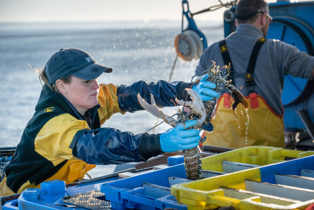 Pêcheur professionnel en action sur son bateau en mer